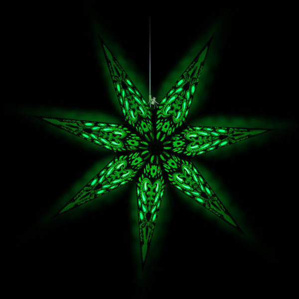Weihnachtsstern Black Star (60cm) beleuchtet in grün bei Nacht