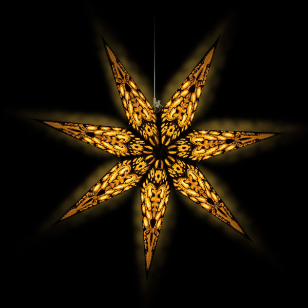Weihnachtsstern Black Star (60cm) beleuchtet in weiss bei Nacht